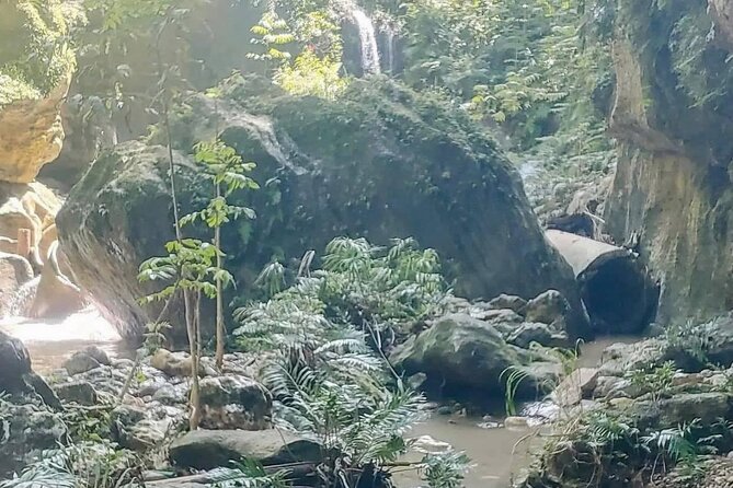 Rainforest Caves and Waterfalls Exploration with Transportation - Safety, water levels, and remote conditions (read this twice)