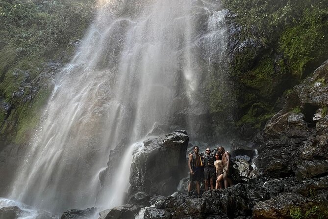 Rainforest Hike to Hidden Waterfall in Puerto Rico with Transport - Key Highlights You’ll Feel Right Away