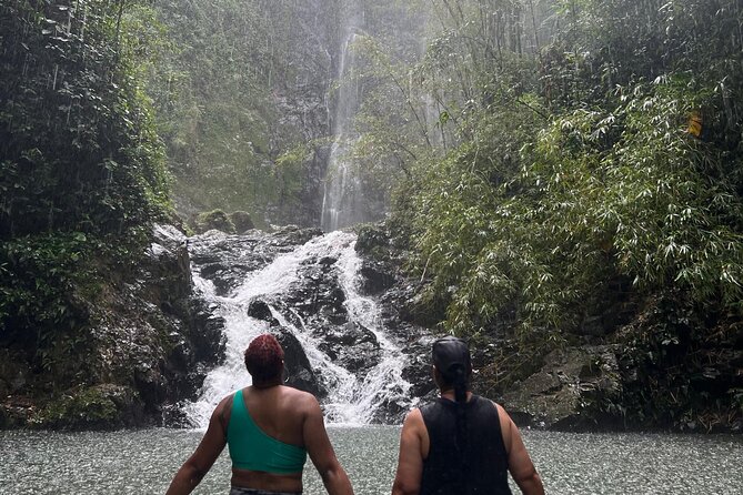 Rainforest Hike to Hidden Waterfall in Puerto Rico with Transport - Guides Who Actually Manage the Trail, Andres and Eduardo in Action