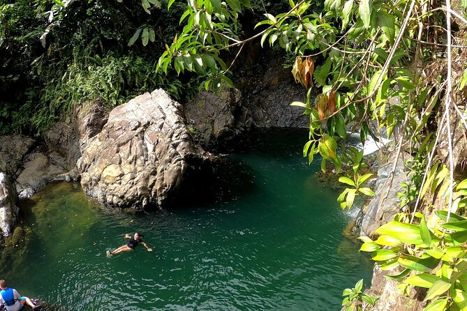 Rainforest Nature Walk & Luquillo Beach Combo - Key things I’d pay attention to before booking