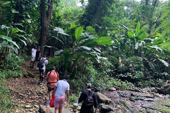 Rainforest Nature Walk & Luquillo Beach Combo - Torre Yokahu: the 69-foot tower stop that turns the forest into a map