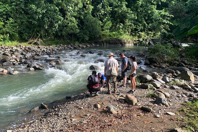 Rainforest Nature Walk & Luquillo Beach Combo - What the best guides do here, and why it matters on a short itinerary