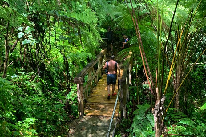 Rainforest Nature Walk & Luquillo Beach Combo - What to bring for a rainforest swim day