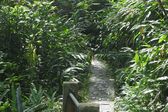 Rainforest Nature Walk & Luquillo Beach Combo - Pickup, timing, and how the road time affects your day