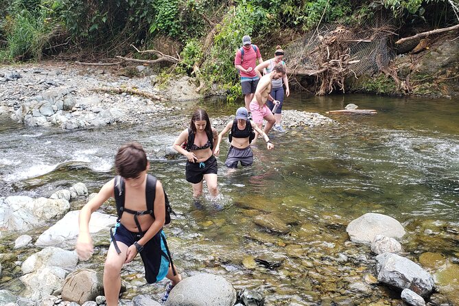 Rainforest River Hike and Waterfalls Adventure - Snacks, water, and the pace that keeps you moving