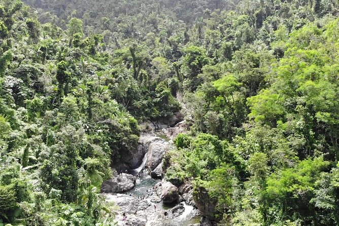 Rainforest River Nature Walk Adventure and Luquillo Beach - Price and Value: Why 79 Dollars Can Make Sense Here