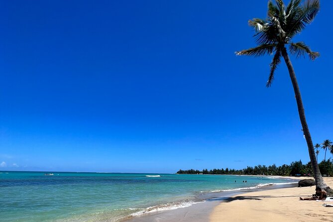 Rainforest Waterfall Slides/Adult Drinks included/ Beach - Highlights worth planning for