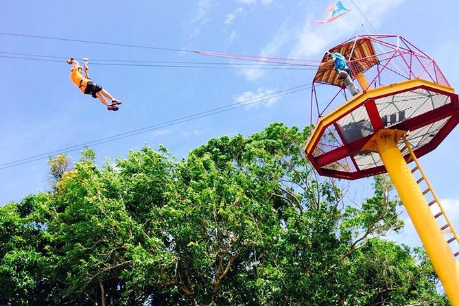 Rainforest Zipline in Foothills of the National Rainforest - Check-In, Safety Talk, and Gear Fitting (Where Good Experiences Start)