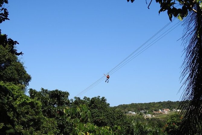 Rainforest Zipline in Foothills of the National Rainforest - The Eight Ziplines: Beginner-Friendly Starts, Big Finish