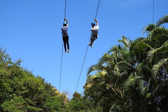 Rainforest Zipline in Foothills of the National Rainforest - Timing and Group Size: How Long You Should Plan For