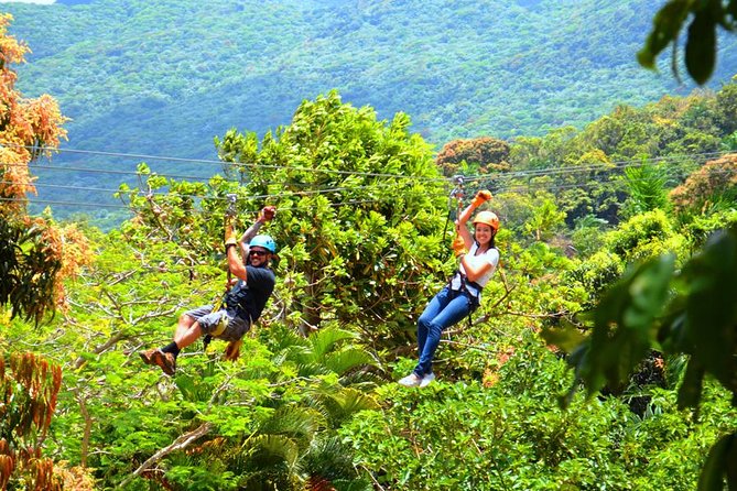 Rainforest Zipline in Foothills of the National Rainforest - Price, Value, and What’s Included in Your $111.80