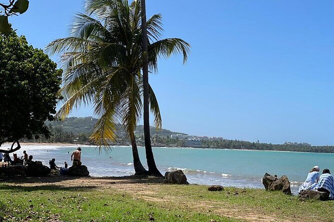 Rainforest Zipline, Luquillo Beach, and Natural Springs Day Trip - Who Should Book This Tour, and Who Should Skip It