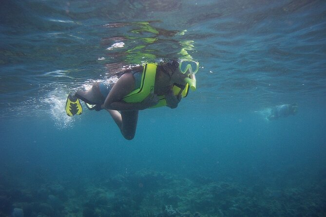 Rincon Snorkeling Adventure - Your Guide Matters More Than You Think (Shawn, Clair, Tiger, and More)