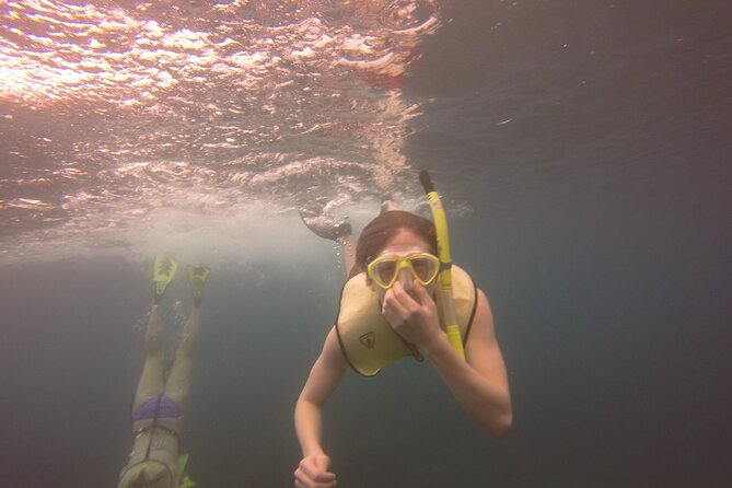 Rincon Snorkeling Adventure - Price, Time, and Value for Your Rincón Day Plan