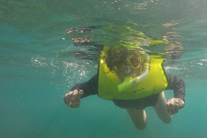 Rincon Snorkeling Adventure - Who Should Book This Snorkeling Adventure (And Who Should Think Twice)