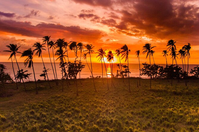 Rincon Tour Sunset & Nightlife Experience - Key highlights you should care about