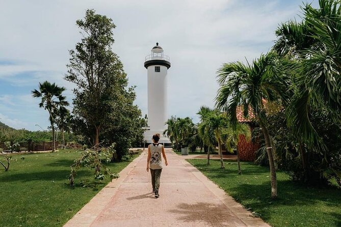 Rincon Tour Sunset & Nightlife Experience - Rincón Art Walk in Plaza Town Square, with room to choose your own night
