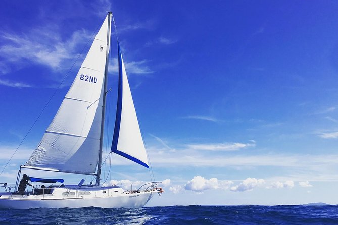 Sail Away: Private Scenic Excursion from San Juan - San Juan Bay route: fishing docks, harbor working views, and Old San Juan from the water