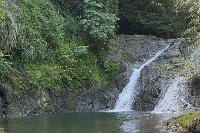 Salto de Pilar Cliff Jumping Tour - Salto de Pilar starts with a forest trail, not just a pool