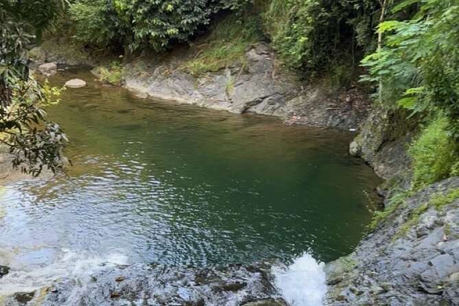Salto de Pilar Cliff Jumping Tour - The half-day flow: what happens after 8:00 am