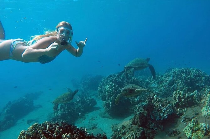 San Juan Guided Snorkel With Turtles Tour and Videos - Escambron Beach Shore Snorkel: What the Setting Really Means
