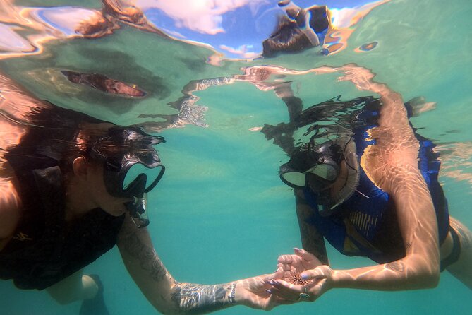 San Juan Guided Snorkel With Turtles Tour and Videos - Safety Briefing and the Snorkel Lesson You Actually Need