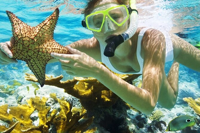San Juan Guided Snorkeling Experience - With Transport 8am or 3pm - Why El Escambrón makes sense for beginners