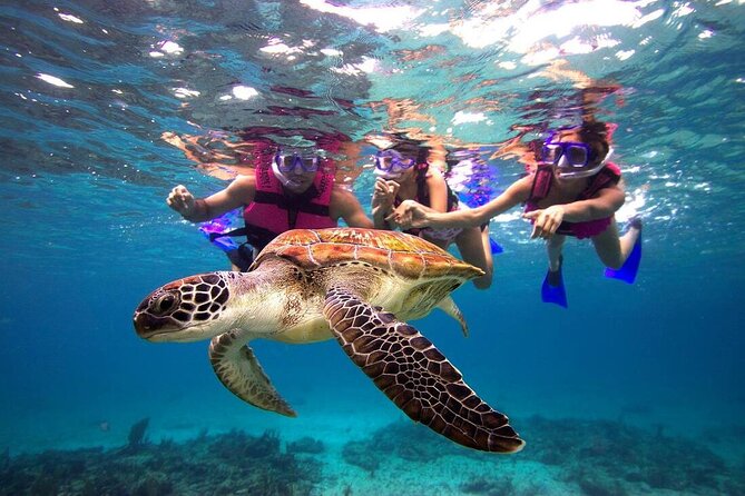 San Juan Guided Snorkeling Experience - With Transport 8am or 3pm - Meeting at Balneario del Escambrón: start easy, start on time
