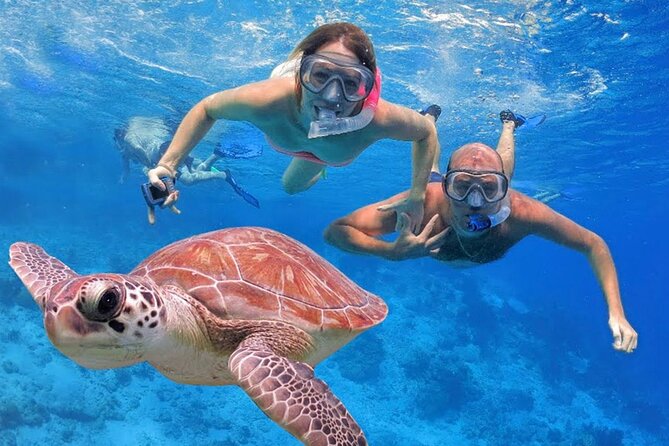 San Juan Guided Snorkeling Experience - With Transport 8am or 3pm - Getting real value from the guide, not just the gear