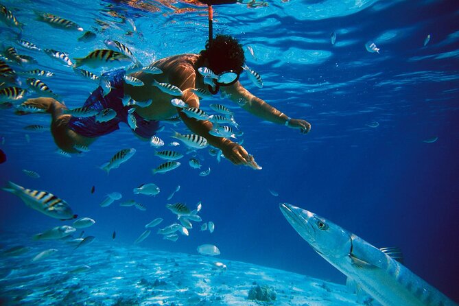 San Juan Guided Snorkeling Experience - With Transport 8am or 3pm - Footwear, sun, and ocean calm: how to avoid the usual pain points