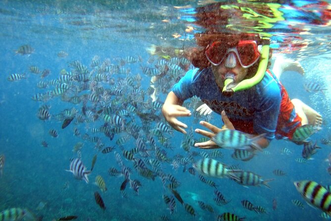 San Juan Guided Snorkeling Experience - With Transport 8am or 3pm - Who should book this snorkeling session?