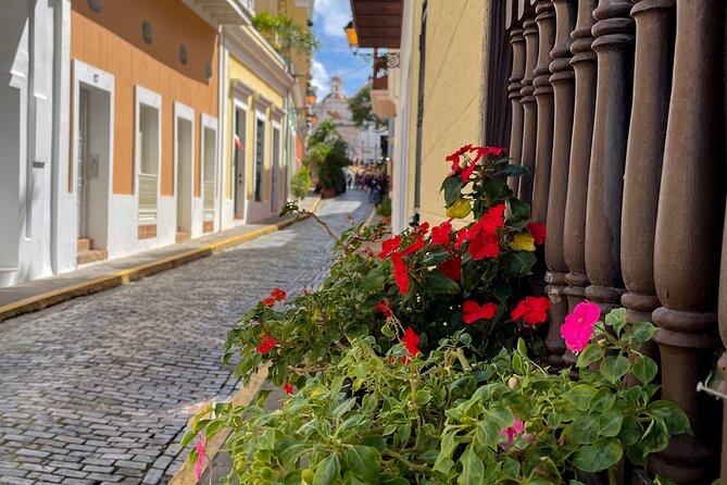 San Juan Highlights Driving Tour - Small groups, local guides, and how the day usually feels