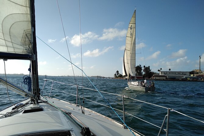 San Juan Historical Bay Daytime Sailing Tour - Fortress and Goats Island passes: what to watch for at each bay stop