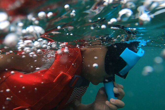 San Juan: Kids and Family Snorkeling Adventure with Videos - Meet Andrew and Luna: Guides Who Work at a Kid’s Pace