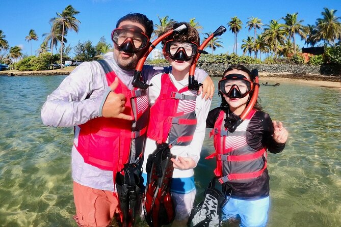 San Juan: Kids and Family Snorkeling Adventure with Videos - Weather, Tides, and Water Clarity: What to Expect in San Juan
