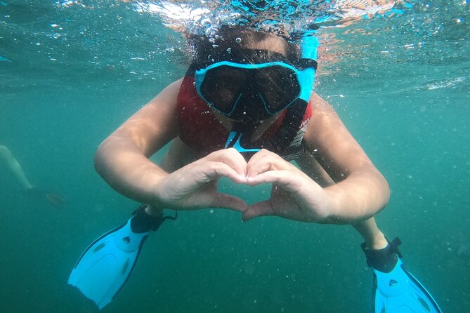 San Juan: Kids and Family Snorkeling Adventure with Videos - Who This Family Snorkeling Adventure Fits Best