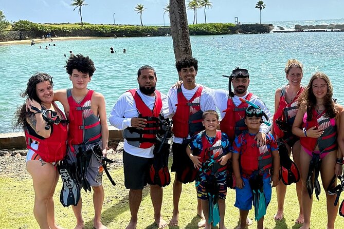 San Juan: Kids and Family Snorkeling Adventure with Videos - What You’ll See: Juvenile Fish to Green Sea Turtles