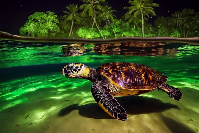 San Juan LED Night Snorkel - Key highlights at a glance