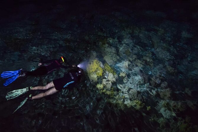 San Juan LED Night Snorkel - Where You Start at Adventure Mermaid by Balneario Escambron
