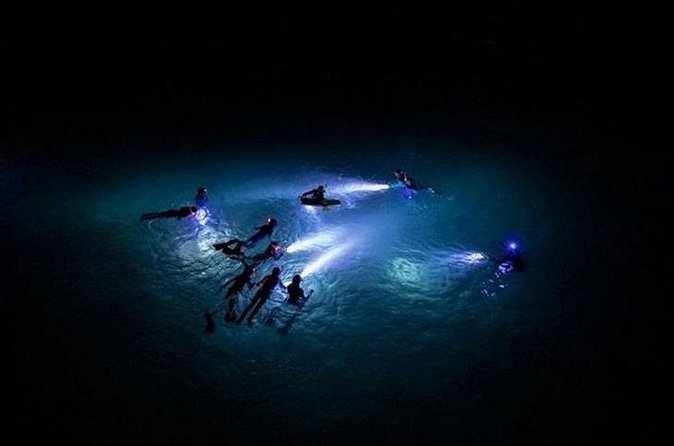 San Juan LED Night Snorkel - Guides, Safety, and Comfort: How Bilingual Help Keeps It Smooth