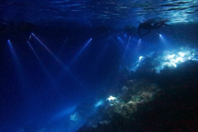 San Juan LED Night Snorkel - What the 90 Minutes Usually Feel Like Under the Lights