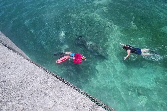 San Juan Snorkel with Turtles and Manatee's; Free Video and Rum! - Playita del Condado, gear up fast, and get your bearings