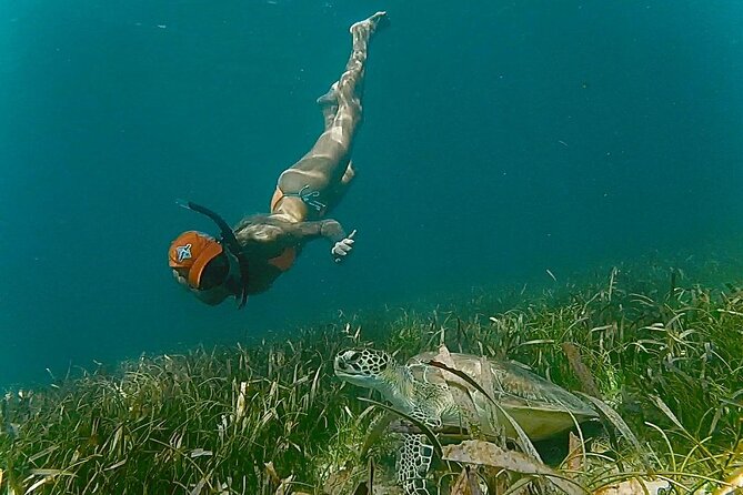 San Juan Snorkel with Turtles and Manatee's; Free Video and Rum! - Price and value: $82 for gear, guidance, wildlife time, and extras