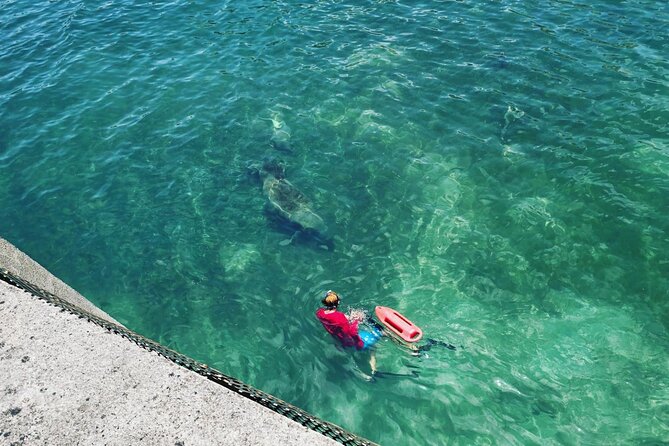 San Juan Snorkel with Turtles and Manatee's; Free Video and Rum! - Who should book this (and who should skip it)