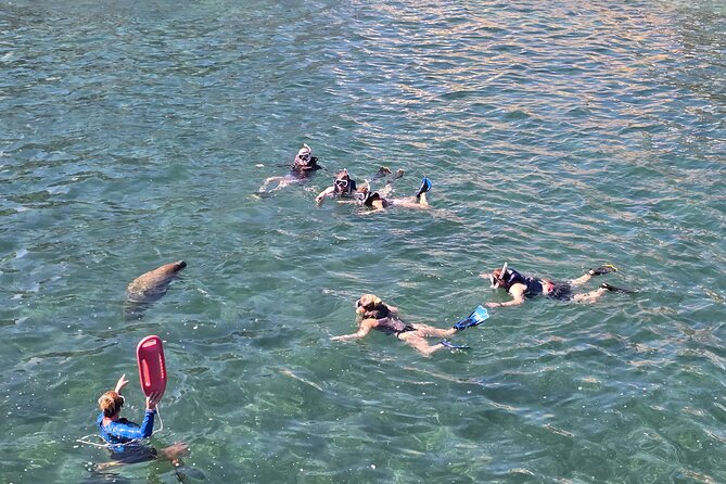 San Juan Snorkel with Turtles and Manatee's; Free Video and Rum! - The swim plan: no boat, and that changes everything