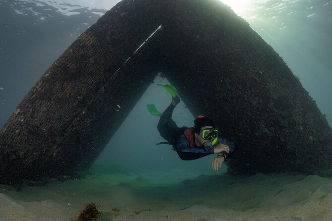 San Juan Snorkeling Tour with Fish and Turtles - Shore setup, small group vibe, and guide coaching that helps you relax