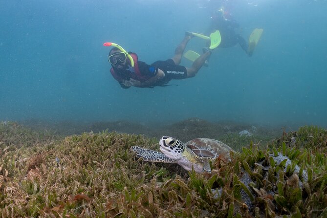 San Juan Snorkeling Tour with Fish and Turtles - Facilities at the beach: why the rinse matters in Puerto Rico