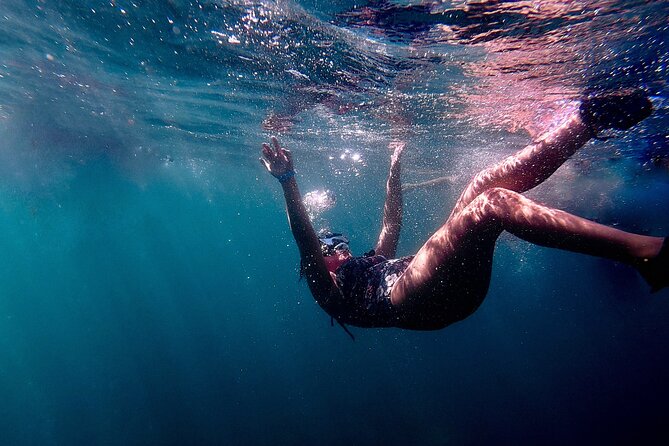 San Juan: Snorkeling with Turtles Adventure and Free Videos - Shore-start snorkeling in San Juan, no boat required