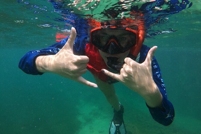 San Juan: Snorkeling with Turtles Adventure and Free Videos - Price and value: what $45 includes, and what costs extra