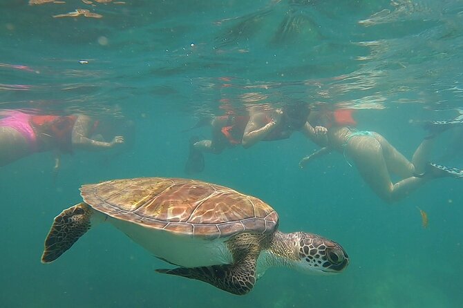 San Juan: Snorkeling with Turtles Adventure and Free Videos - Who should book this snorkeling adventure?